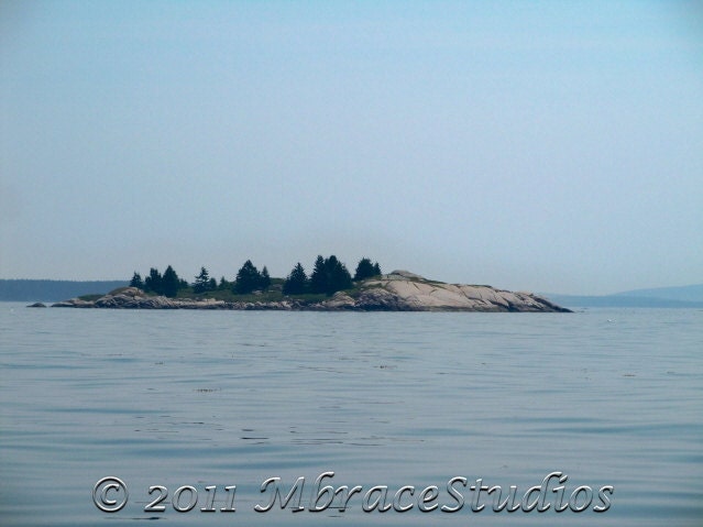 Island - Coastal Maine - 5x7 landscape photograph