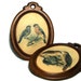 Bird Art Plaques Wall Hangings Rustic Vintage Woodland Home Decor