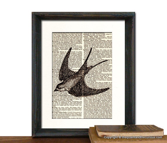 Sparrow Swallow Bird Print Vintage Book Page - Beautifully Matted Graduation Fathers Day Gift Present Home Office Decor