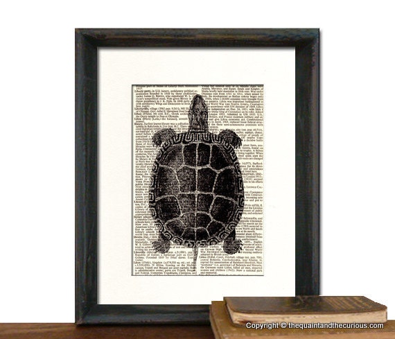 Sea Turtle Sea Life Nautical Print Vintage Book Page - Beautifully Matted Graduation Fathers Day Gift Present Home Office Decor