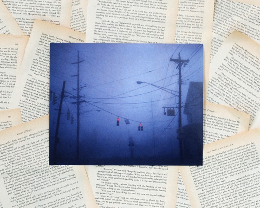 8x10 Stop Polaroid Print