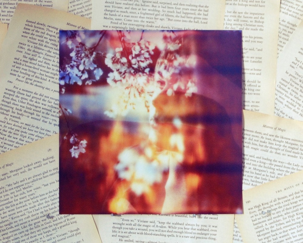 8x8 Spring in Hiding Polaroid Print