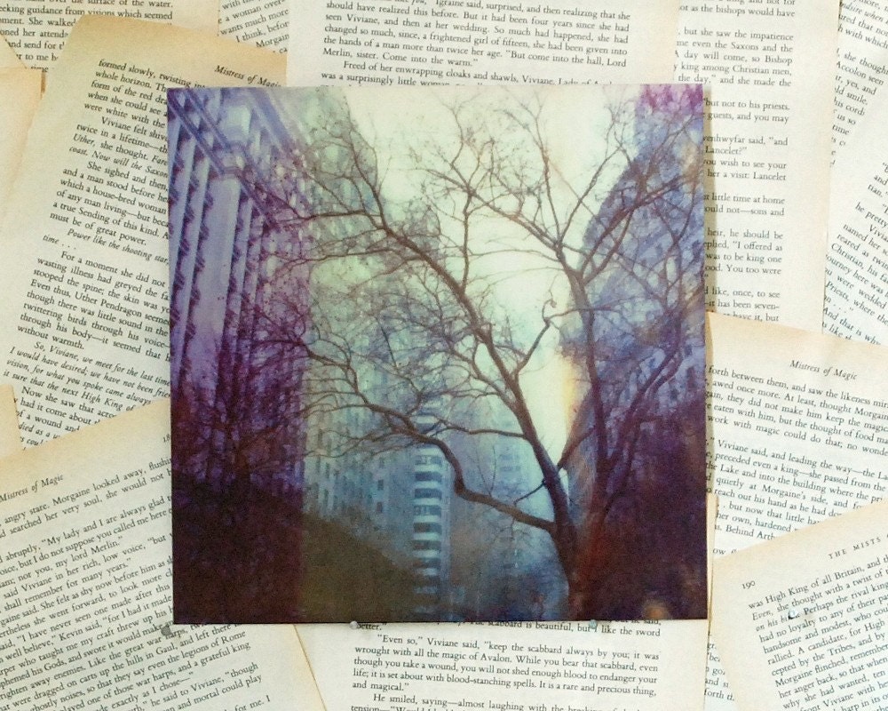 8x8in. City Bird Polaroid Print
