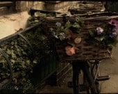 The bicycle basket 5x7 fine art photography print