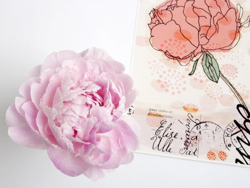 peony print art giclee pink coral flower wedding gift