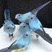 Little blue bird fly high