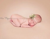 Sage Flower Headband