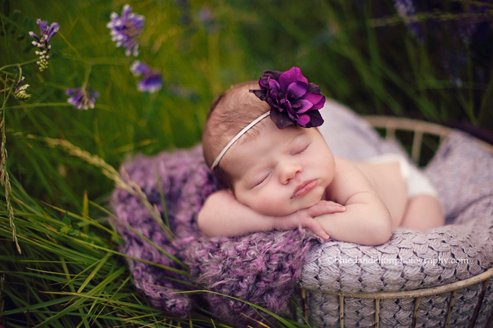 Skinny elastic plum purple flower headband for newborn baby or little girl, great photo prop