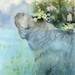 PRINT of a gorgeous manatee matted to 11 x 14 Manatees New Hat bowman open edition