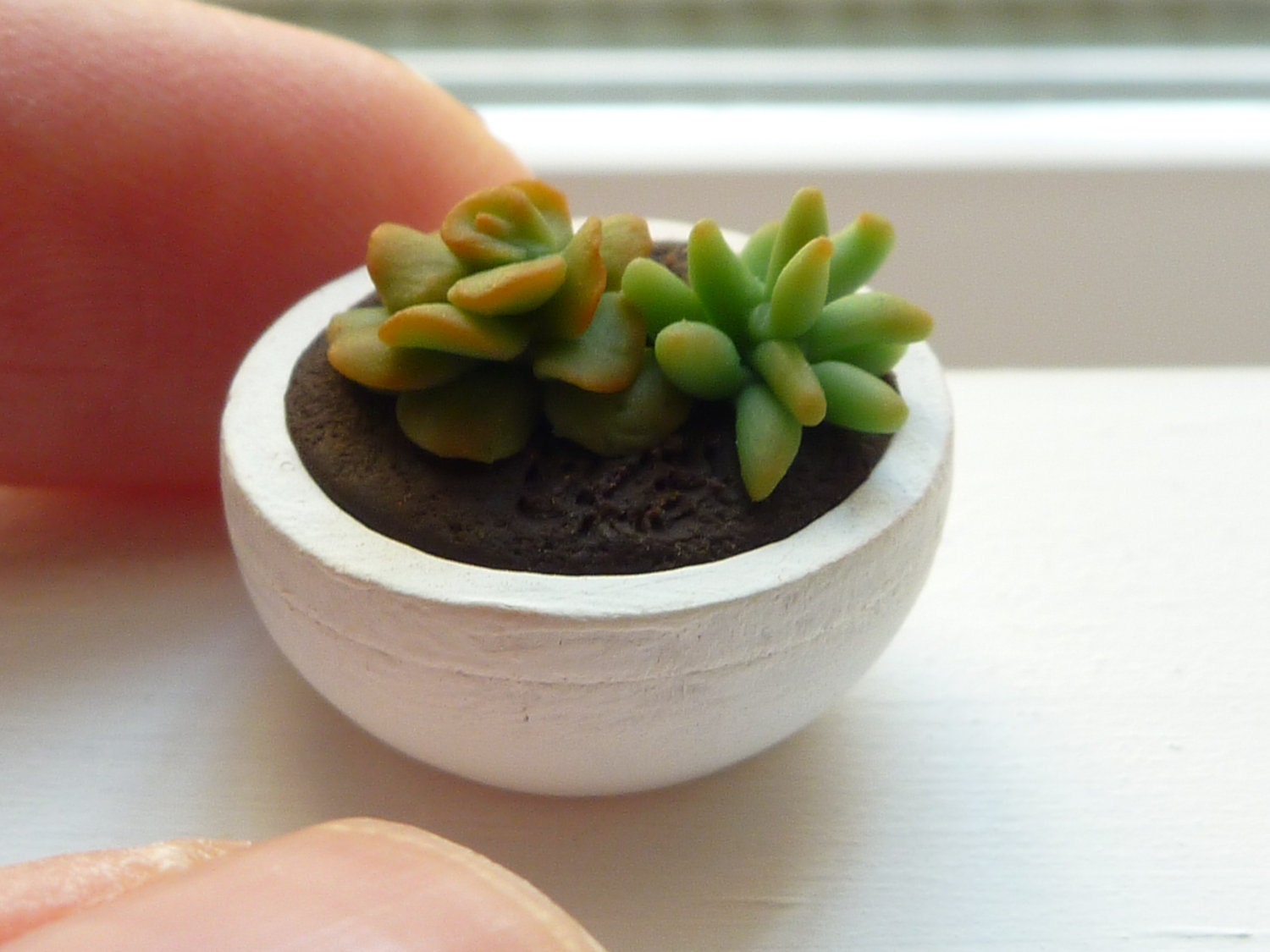 Miniature Dollhouse Succulent Plant in a Pot