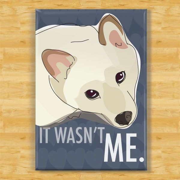 Shiba Inu Magnet - It Wasn't Me - Cream Shiba Inu Dog Magnet