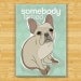 French Bulldog Magnet - Somebody Farted - Fawn French Bulldog