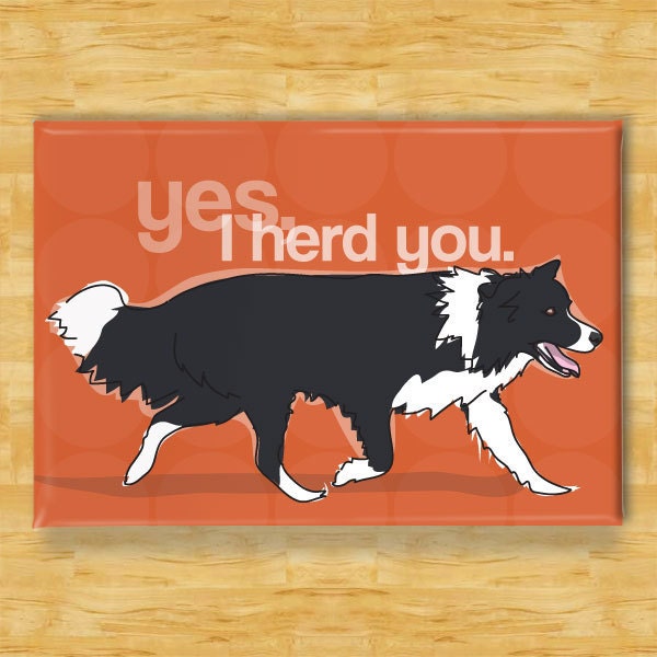 Border Collie Magnet - Yes I Herd You - Dog Magnet