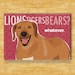 Rhodesian Ridgeback Dog Magnet - Lions Tigers Bears Whatever