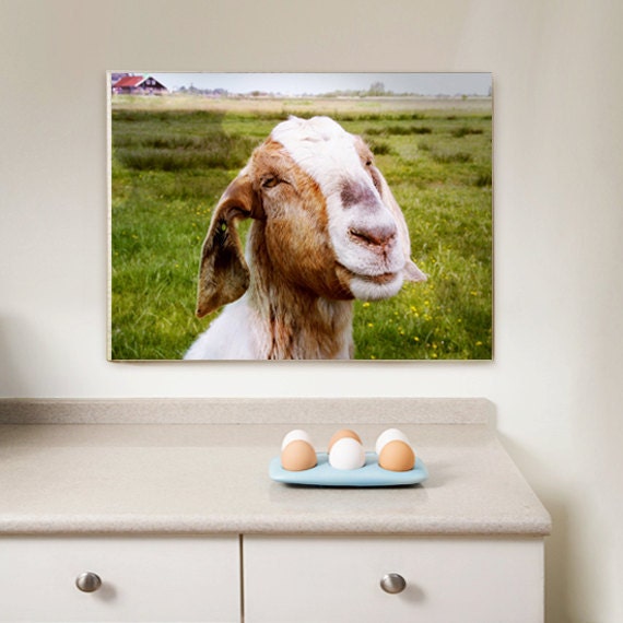 Wrapped Canvas Print The Smiling Goat (Netherlands) Wall Art 12x16 (30x40 cm) Farm Fresh home decor cute country
