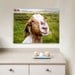 Wrapped Canvas Print The Smiling Goat (Netherlands) Wall Art 12x16 (30x40 cm) Farm Fresh home decor cute country
