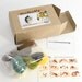 Needle felting Owl kit