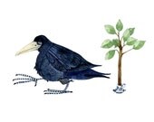 Print Bird and Tree in Cup Print Illustration 8x11