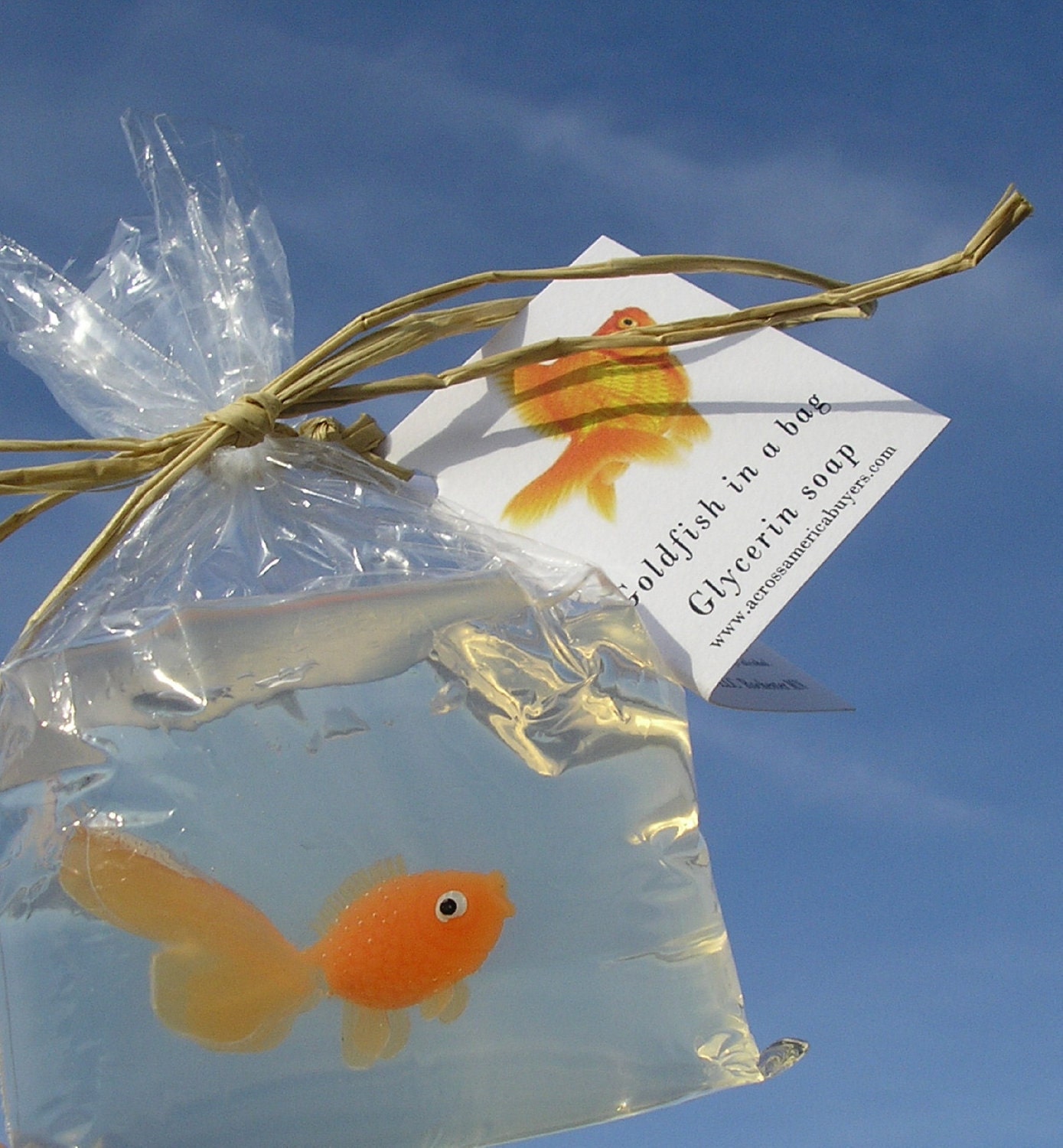 Fish in a Bag Novelty Soap Vegan friendly carnival prize fish soaps games and prizes party favors