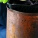 Copper Pitcher West Bend Moscow Mule