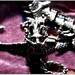 Chinese Dragon Bracelet