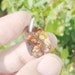 Mexican Fire agate cabochon 14.0 cwt. pendant cut