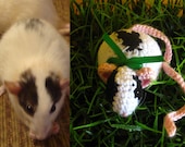 Custom Fat Rat-Amigurumi Plush 10% donated to APOPO