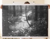 Woods Poster