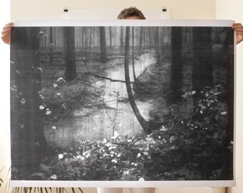 Woods Poster
