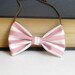 Candy Pink Stripes - Bow Tie Necklace