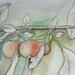 Crabapple Branch original watercolor painting