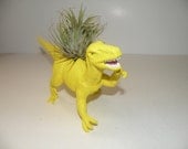 Debbie the Deinonychus dinosaur planter with air plant.