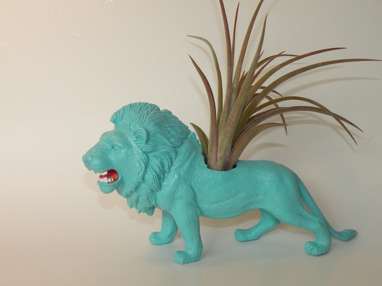 Lion animal planter in turquoise blue with gorgeous air plant.