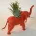 Air plant in elephant animal planter and personalized bottle cap message. Great gift for plant lover.