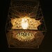 Seed Lampshade