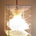 Seed Lampshade
