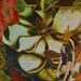 Fantasy Brown Canvas Tote Bag Hand Painted Fabric Floral Applique Design and Fringe