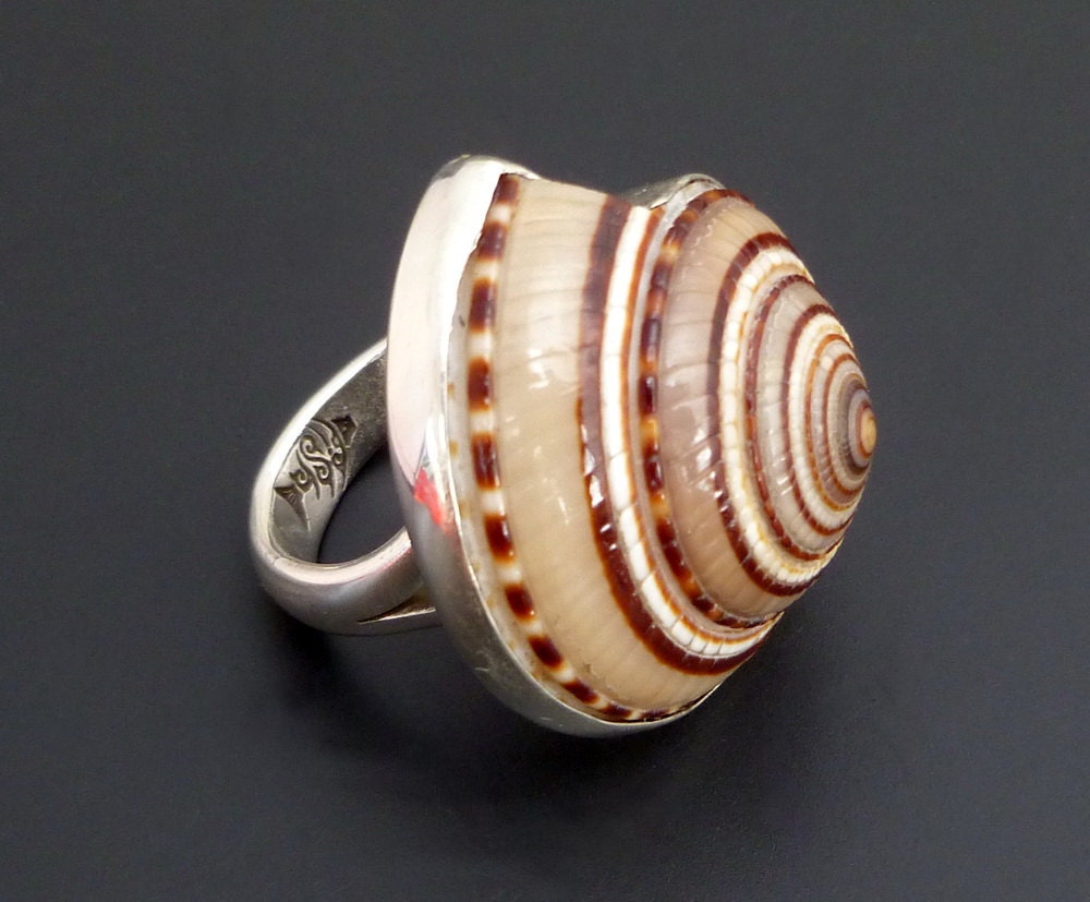 Sterling Silver Shell Ring - Handmade Silver Statement Ring with Spiral Brown Toned Shell - made to order