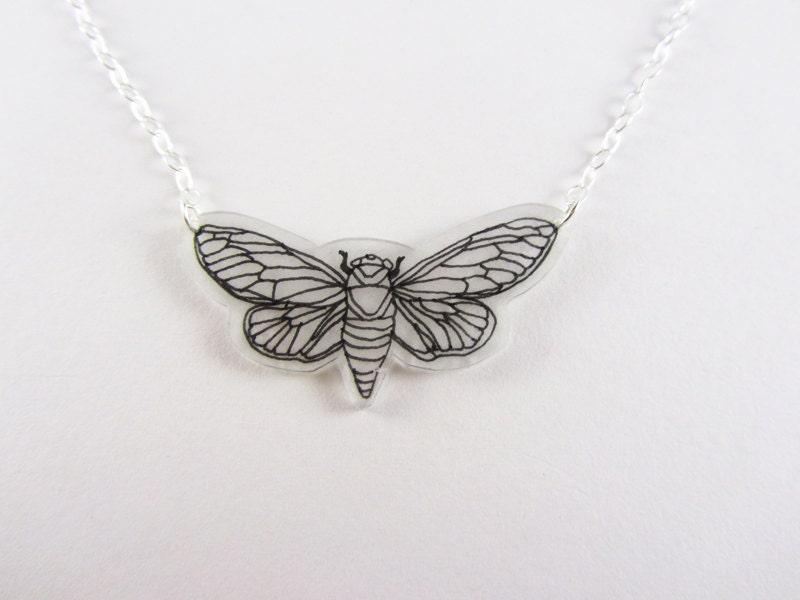 Cicada on a Silver Chain Necklace Pendant Charm Free shipping