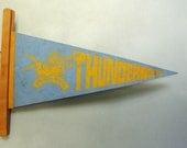 Vintage High School Pennant, blue and yellow school spirit