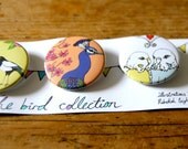 Bird pin badges set of 3, magpie, peacock, budgie badge set