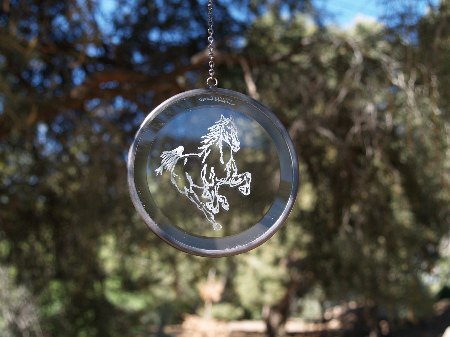 hand  engraved glass mustang etching