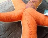 Starfish -- Plush Orange