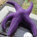 Starfish -- Plush Purple