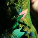 Felted vest -Felt - felted clothing -felted wool -fairy- Psychedelic flower
