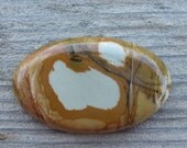 Owyhee Picture Jasper