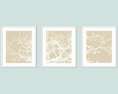 Magnolia Tree Branches - Digital Prints Set - Beige Tan Neutral Decor - Original Modern Art - Home Decor - Spring Summer Woodland Tree