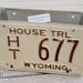 License Plate Flower Box - 22-CKG
