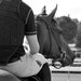 Horse Photography, Portrait of a Rider, Equestrian Decor, Black and White Horse Photograph, Equine Wall Art, Saratoga Race Track, Teen Rm