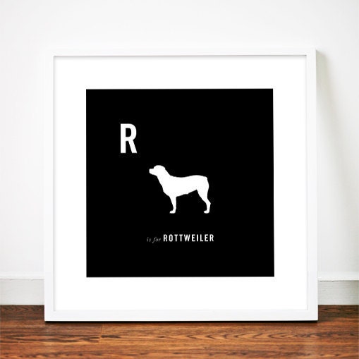 Rottweiler print poster art illustration silhouette typography alphabet